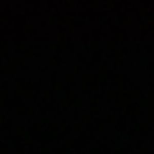 Meet your Posher, Quinnaya